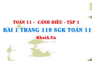 Bài 1 trang 119 SGK Toán 11 tập 1 Cánh Diều